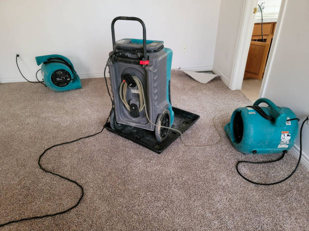 Best Water damage contractors near me  in La Riviera, CA