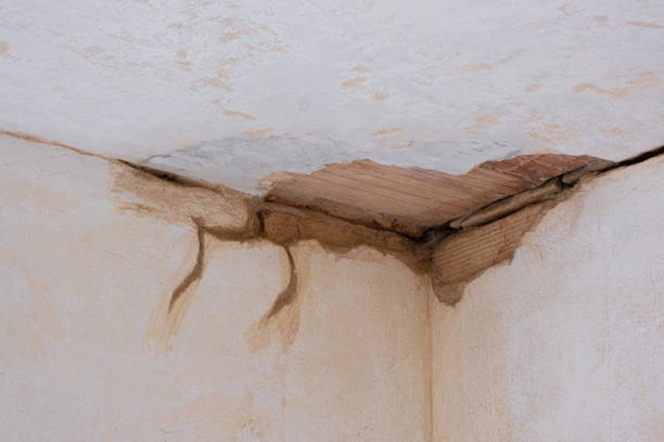 Best Water damage restoration near me  in La Riviera, CA