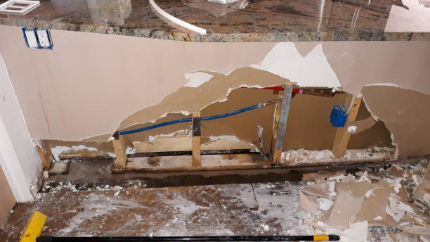 Best Flood damage cleanup  in La Riviera, CA