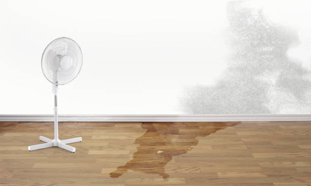 Best Flooded house restoration  in La Riviera, CA