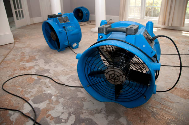Best 24-hour water damage restoration  in La Riviera, CA