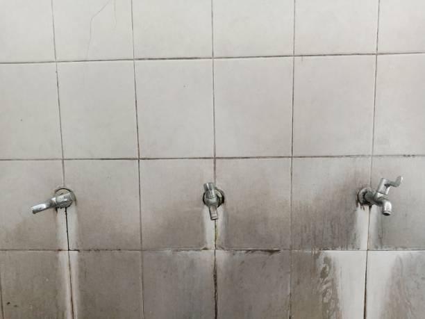 Best Water damage restoration company  in La Riviera, CA