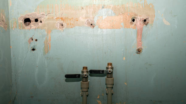 Best Commercial water damage restoration  in La Riviera, CA
