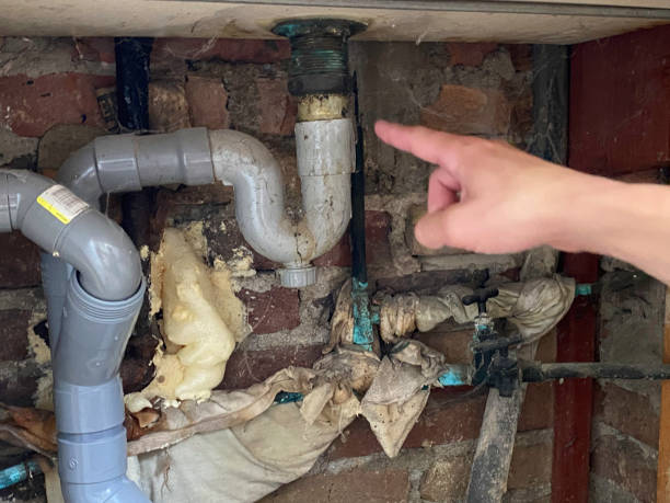 Best Professional water damage repair  in La Riviera, CA