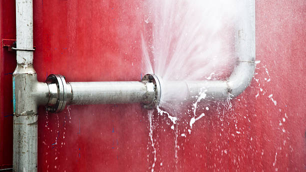 Best Local water damage restoration  in La Riviera, CA